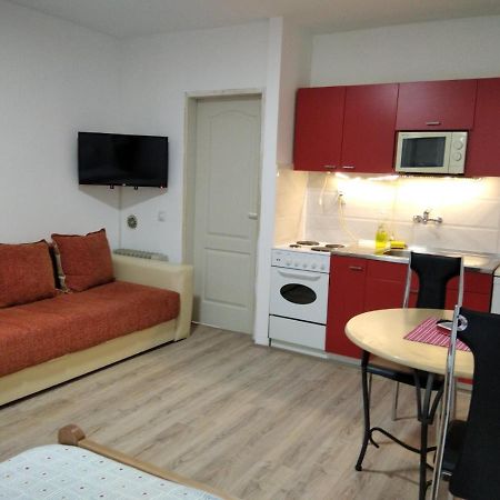 Apartman 4 - Studio Janja Soko Banja Esterno foto