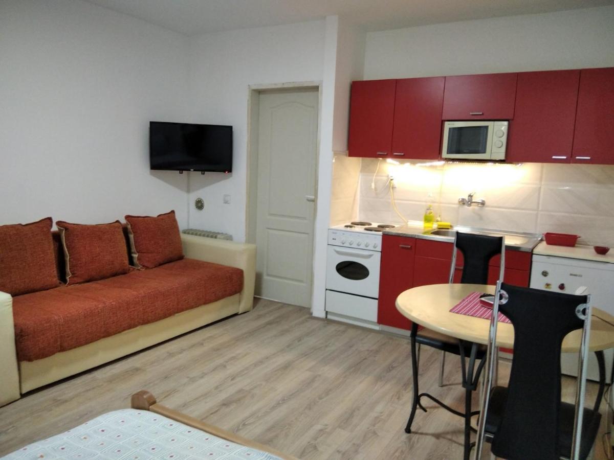 Apartman 4 - Studio Janja Soko Banja Esterno foto