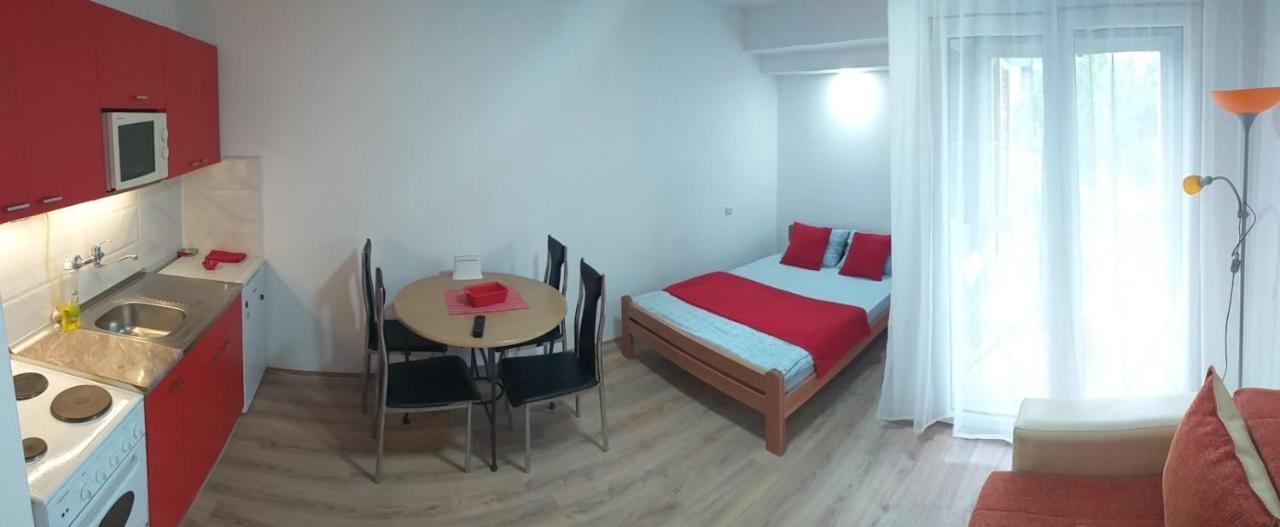 Apartman 4 - Studio Janja Soko Banja Esterno foto