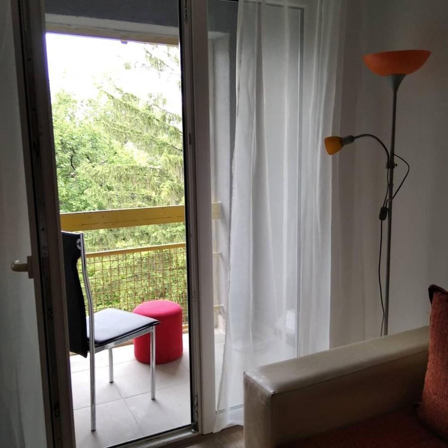 Apartman 4 - Studio Janja Soko Banja Esterno foto