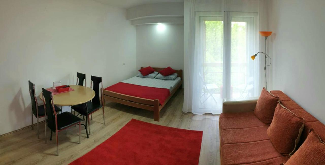 Apartman 4 - Studio Janja Soko Banja Esterno foto