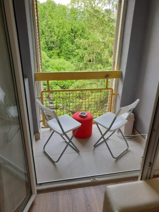 Apartman 4 - Studio Janja Soko Banja Esterno foto