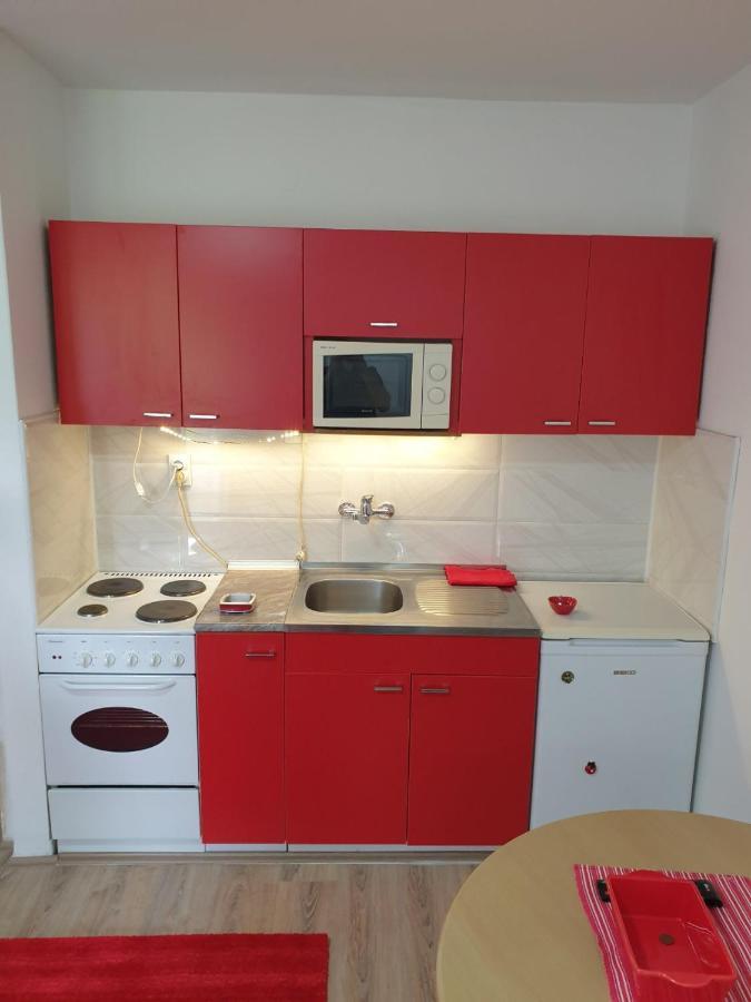 Apartman 4 - Studio Janja Soko Banja Esterno foto