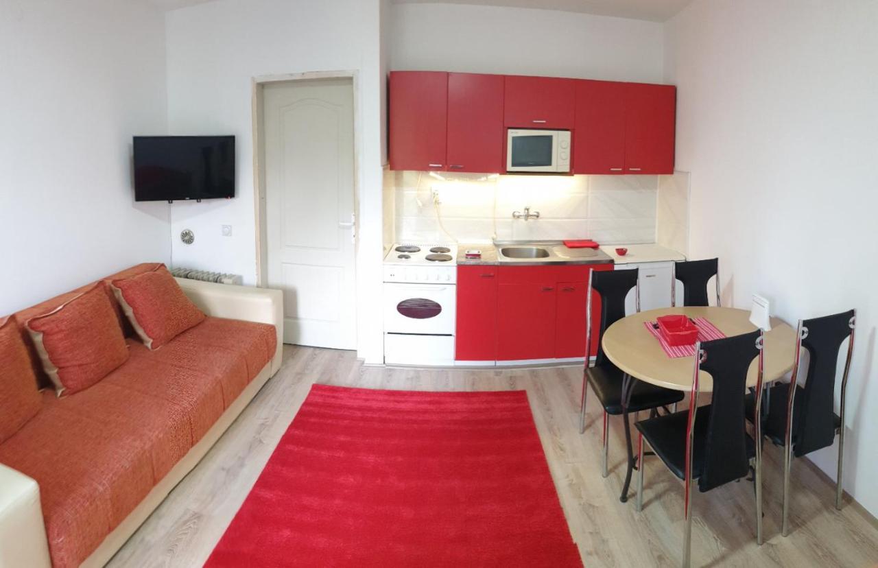 Apartman 4 - Studio Janja Soko Banja Esterno foto